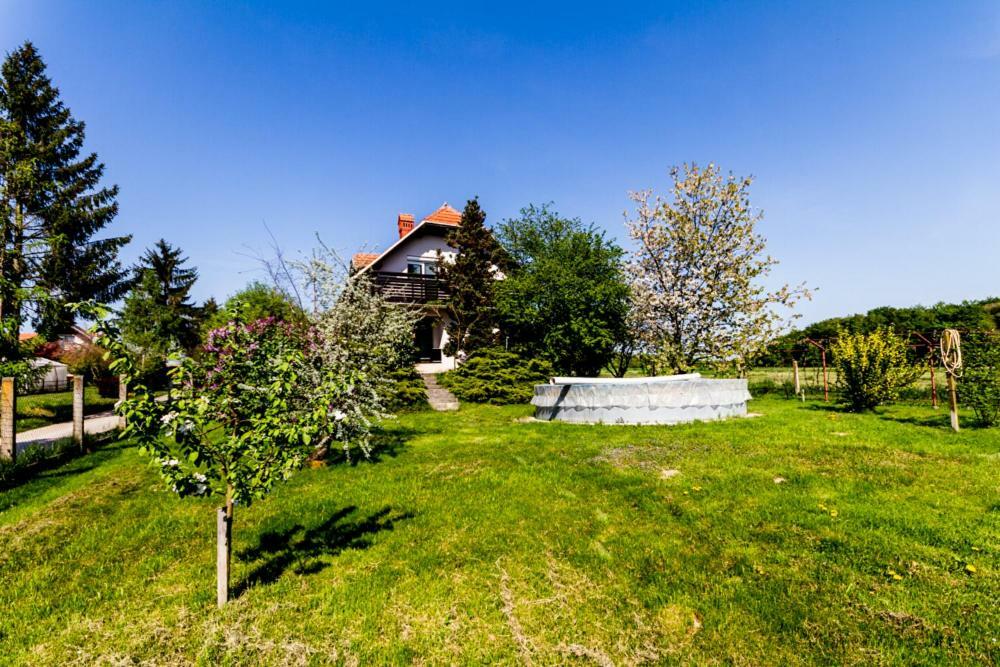 D&J House Villa Ormoz Exteriör bild